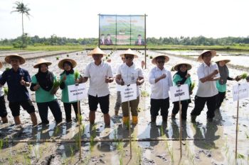Dirjen Tananaman Pangan Kementan luncurkan kampung peramalan OPT di Sleman