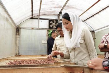 Wamendag arahkan eksportir kakao Bali manfaatkan kerja sama pemerintah