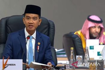 Indonesia touts free nutritious meals program as global model at G20