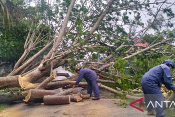 BPBD laporkan dampak bencana hidrometeorologi di Sumbar