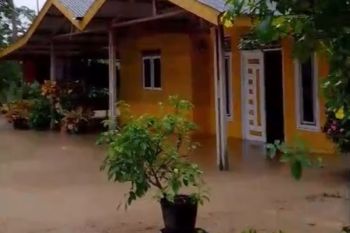 Empat kecamatan di Aceh Timur terendam banjir, warga mulai mengungsi