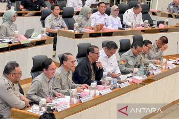 Rice, corn production sufficient, no need imports: minister