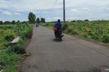 Dinas PUPP Situbondo gunakan DBHCHT Rp13,5 miliar untuk infrastruktur