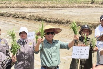 PT Vale dorong transformasi pertanian dukung ketahanan pangan nasional