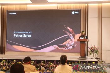 Pemprov NTT tekankan kolaborasi dalam pembangunan hotel di Labuan Bajo