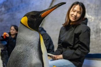 Banyan Group's Inaugural Rainforest Festival Expands with Curated Paid Experiences from Mandai Wildlife Group