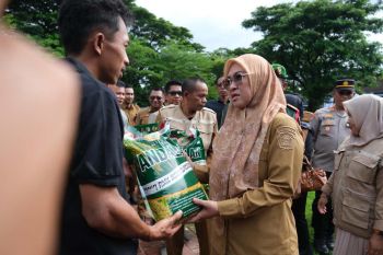 Pemkab Gowa salurkan program Mandiri Benih guna memperkuat pertanian