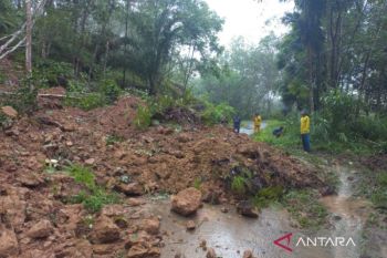 BPBD Agam: delapan kecamatan terdampak bencana akibat hujan