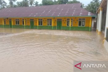 BNPB laporkan 1.824 warga Kabupaten Padang Pariaman terdampak banjir