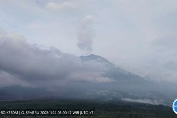 Gunung Semeru hari ini hembuskan asap putih setinggi 1.000 meter dari puncak