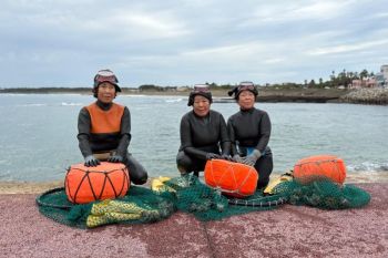 Berkenalan dengan "haenyeo", tradisi Jeju yang kini di ujung tanduk