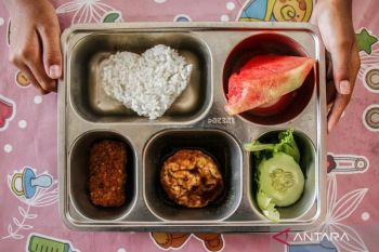 MBG kitchens told to source food supply from small farmers, MSMEs