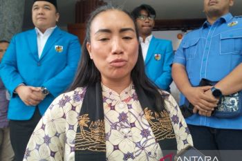 Anggota DPR ungkap 63 persen anak muda bisa jadi kekuatan ASEAN