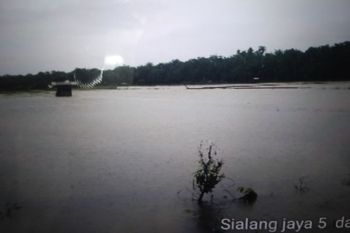 Sekitar 121 Ha lahan persawahan rusak akibat banjir di Pasaman Barat