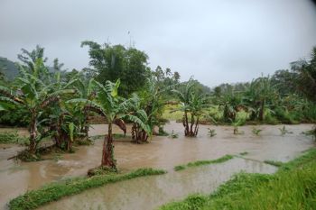 Tiga nagari di Tanah Datar terdampak bencana akibat hujan deras dan angin kencang
