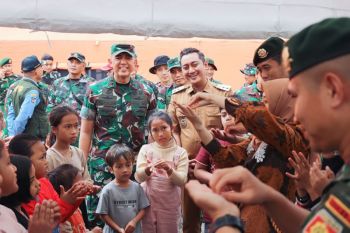 Pangdam Brawijaya: TNI siap bantu tangani dampak erupsi Semeru