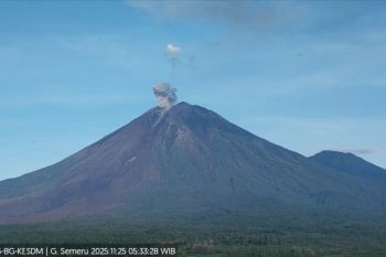 Pakar Vulkanologi: Hujan picu efek botol soda perkuat erupsi Semeru