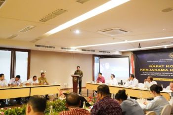 Pemprov Bali ingin sistem pungutan wisman terintegrasi dengan imigrasi