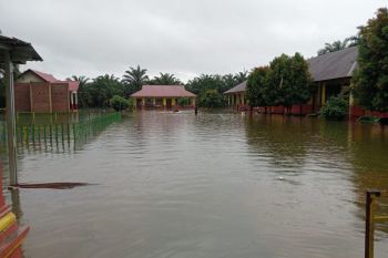 Dinas Pendidikan Pasaman Barat catat 23 sekolah terdampak banjir
