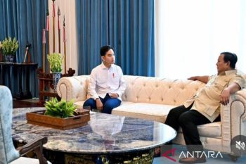 Indonesian VP briefs President Prabowo on G20 Summit outcomes