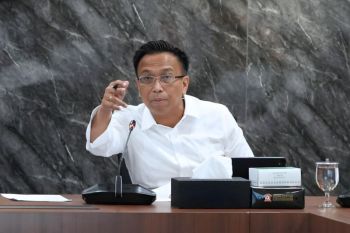 Kemenko Pangan tegaskan tak pernah beri izin impor beras ke Sabang
