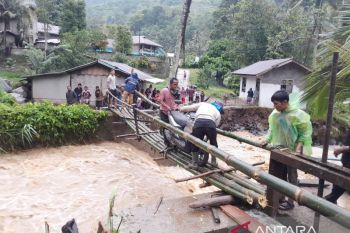 Belasan hektare sawah warga Kabupaten Solok terendam banjir bandang