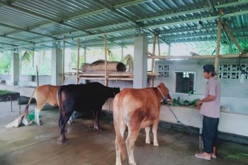 Kemandiriaan yang tumbuh di pondok pesantren