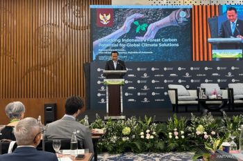 RI pushes nature-based solutions in forestry sector, dy minister says