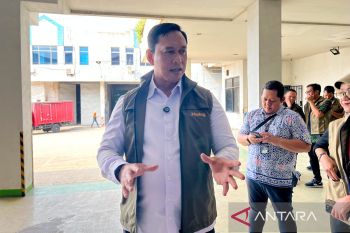 Dirut Bulog tegaskan stok beras aman tak perlu impor