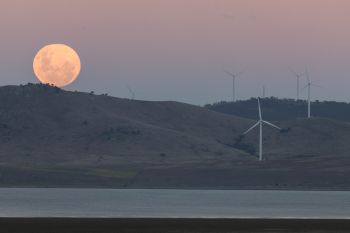 Tim ilmuwan luncurkan peta jalan untuk pertanian antariksa