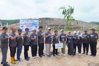 Pemprov Kalsel terapkan program tanam RBE seluas 100 hektare di Cempaka