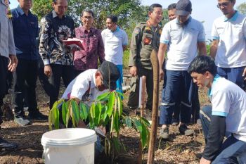 DLH Belitung tanam ratusan pohon peringatan HMPI 2025