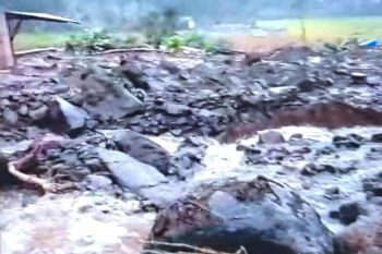 Tujuh hektare lahan perikanan di Agam terdampak banjir, kerugian capai Rp132,5 juta (Video)