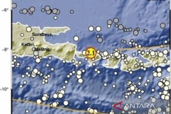 BBMKG catat rentetan gempa kecil di Buleleng Bali pada 26-27 November