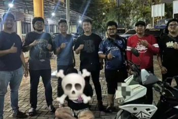Polisi tangkap sindikat pencuri sepeda motor di Jakut