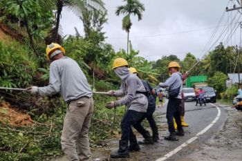 PLN Sumatera Barat kerahkan ratusan personel perkuat siaga kelistrikan akibat cuaca ekstrem
