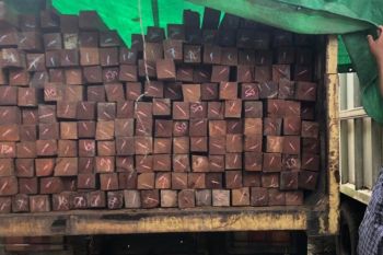 Pengangkut ratusan kayu ulin ilegal ditangkap di Kukar