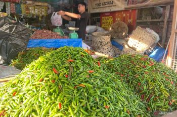 Harga cabai rawit di Aceh Barat tembus Rp250 ribu/kg, cabai merah Rp200 ribu/kg