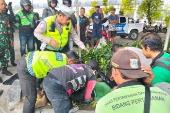 Truk trailer lindas petugas pertamanan hingga tewas di Ancol