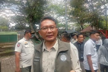 Cegah abrasi, BKSDA Jambi targetkan tanam mangrove 50 hektare
