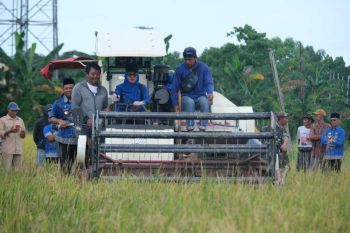 Gowa target jadi lumbung pangan mandiri di Sulawesi Selatan