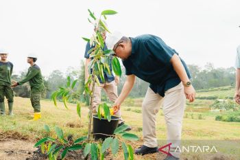 Gerakan Hijau 2025: PTPN IV Regional III Tanam 10.500 Pohon untuk Bumi Lancang Kuning