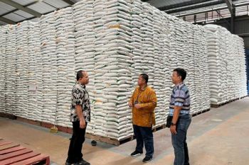 Stok beras di NTB aman, 167,64 juta kilogram tersimpan di gudang Bulog