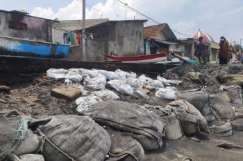 Kawasan sempadan bebas abrasi di Mataram mulai ditata