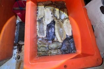 Bakamla tangkap lima nelayan Ilegal di Perairan Australia