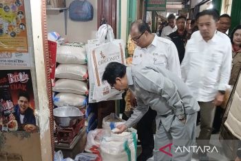 Bapanas jamin ketersediaan pangan dan harga beras stabil
