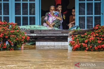 Govt prepares livestockrecovery after Sumatra disasters