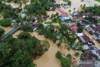 Govt to revoke 20 forest permits, including in Sumatra flood zones