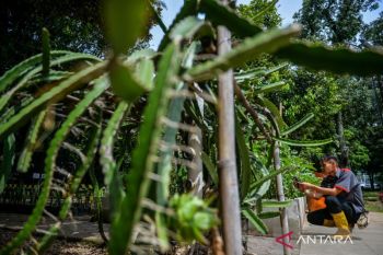 Wamenhut tegaskan komitmen dukung pengembangan pertanian berkelanjutan