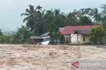 Kerugian banjir di Padang Pariaman capai Rp268,5 miliar